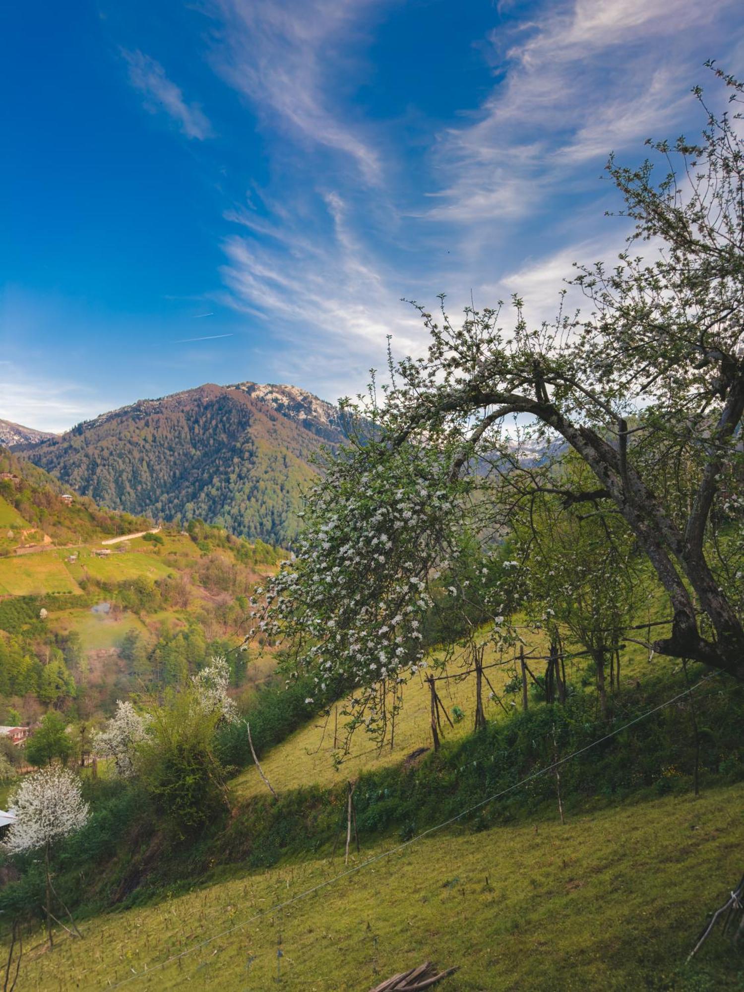 Eco Cottage Sunrise Merisi Экстерьер фото